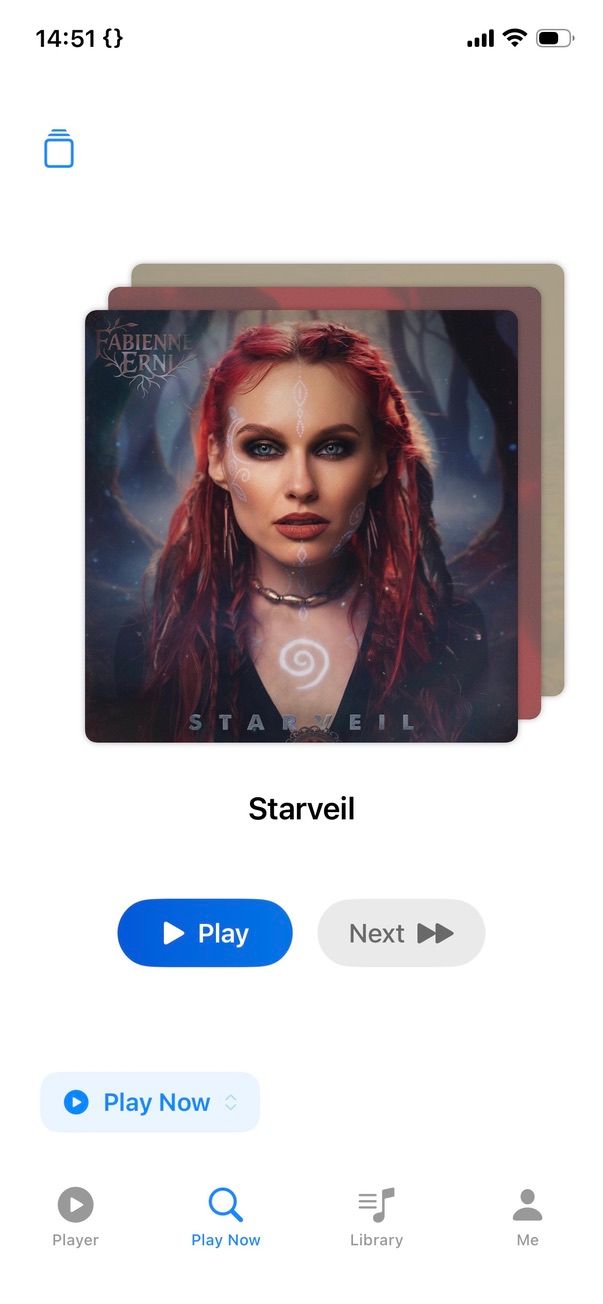 Play Now screen showing a single album card with Play and Next buttons